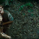 Illustration for article titled Everything You Missed in the Hunger Games Trailer: 40 Awesome Images!